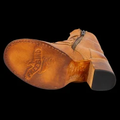 New Freebird Stores Belladonna Wheat
