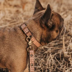 Discount Freebird Stores Dog Collar Pink Croco