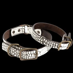 New Freebird Stores Dog Collar White Croco