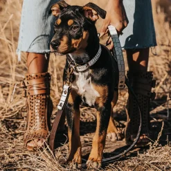 Sale Freebird Stores Dog Leash White Croco