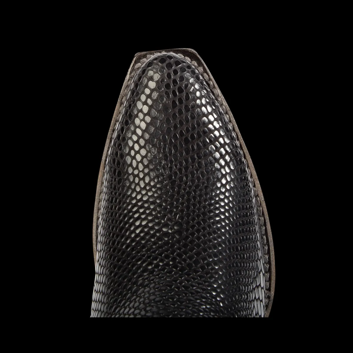 Clearance Freebird Stores Miramar Black Snake